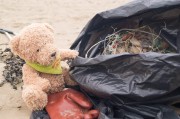 Environment - Beach Clean