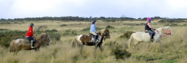Horse riding on Exmoor