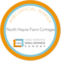 Theo Paphitis Small Business Sunday Winner