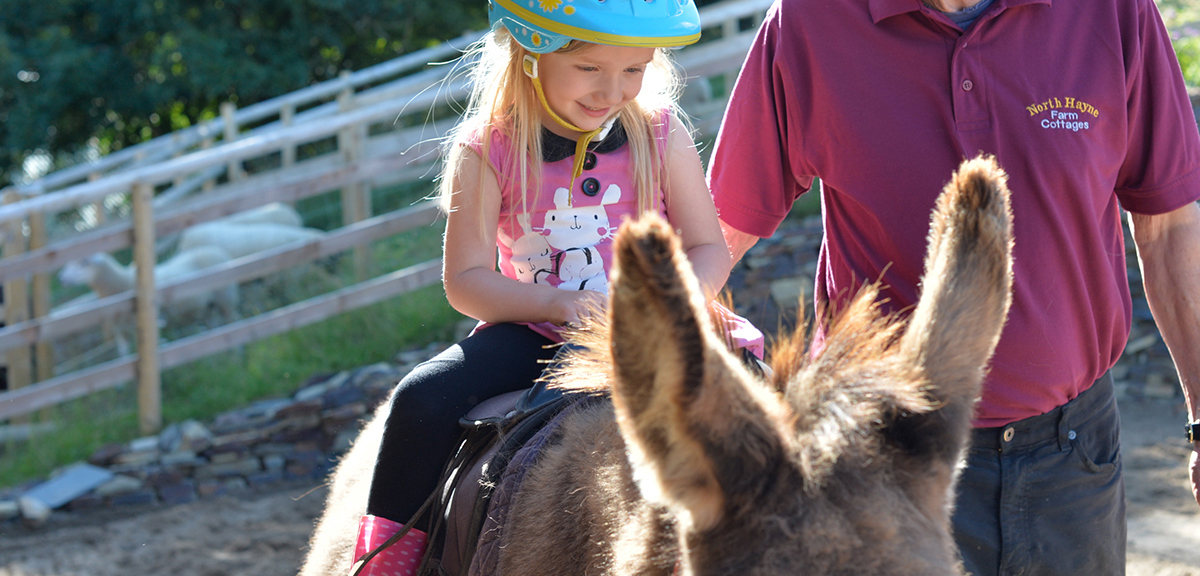 Donkey rides at North Hayne Farm Cottages