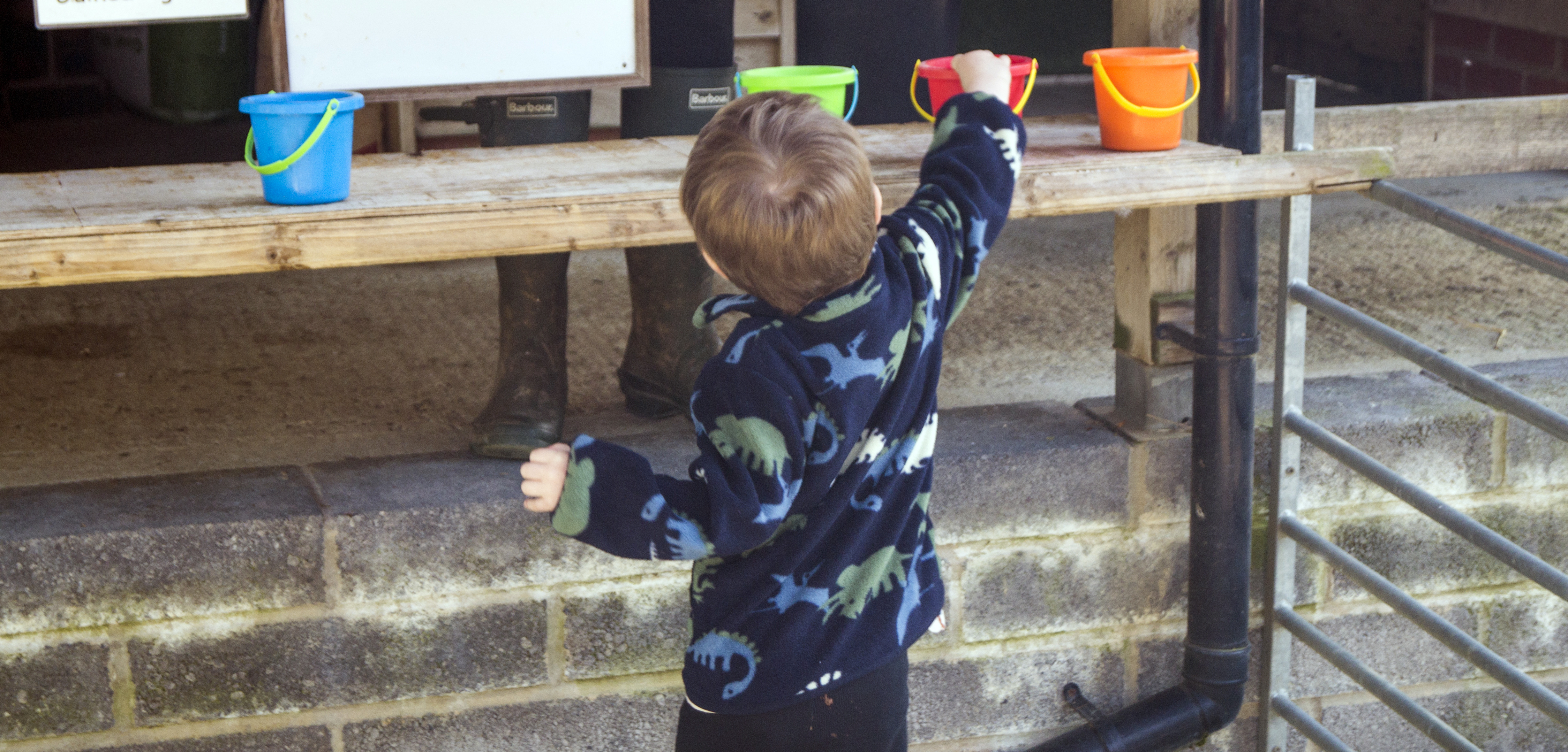 Farm activities at North Hayne Farm Cottages